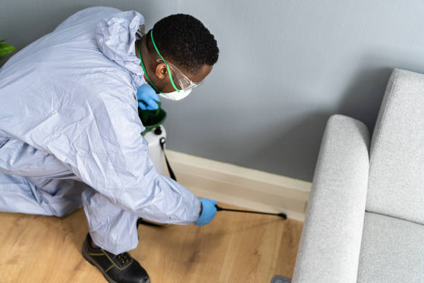 Best Fumigation Services  in Hutchinson, KS